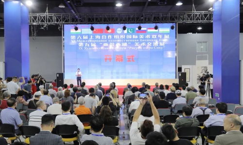 第六届上海合作组织国际美术双年展暨第九届画说西湖美术交流展在杭州举行，融合中外艺术交流