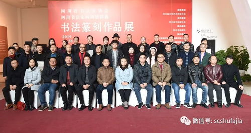 新时代 新文艺 新群体 新面貌 四川省书协 四川书法家网网络群落书法篆刻作品展集评