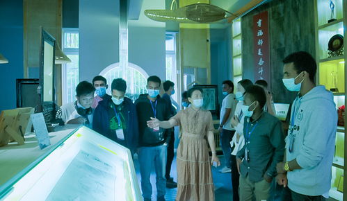 中外青年南充共赏非遗文化 中秋佳节品味巴蜀魅力