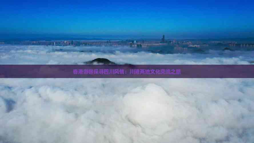 游客探寻四川风情 川港两地文化交流之旅